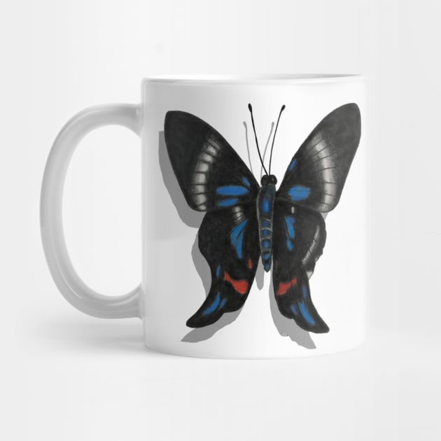 Periander Metalmark Butterfly with Shadow by ArtAndBliss